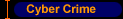 Cyber Crime